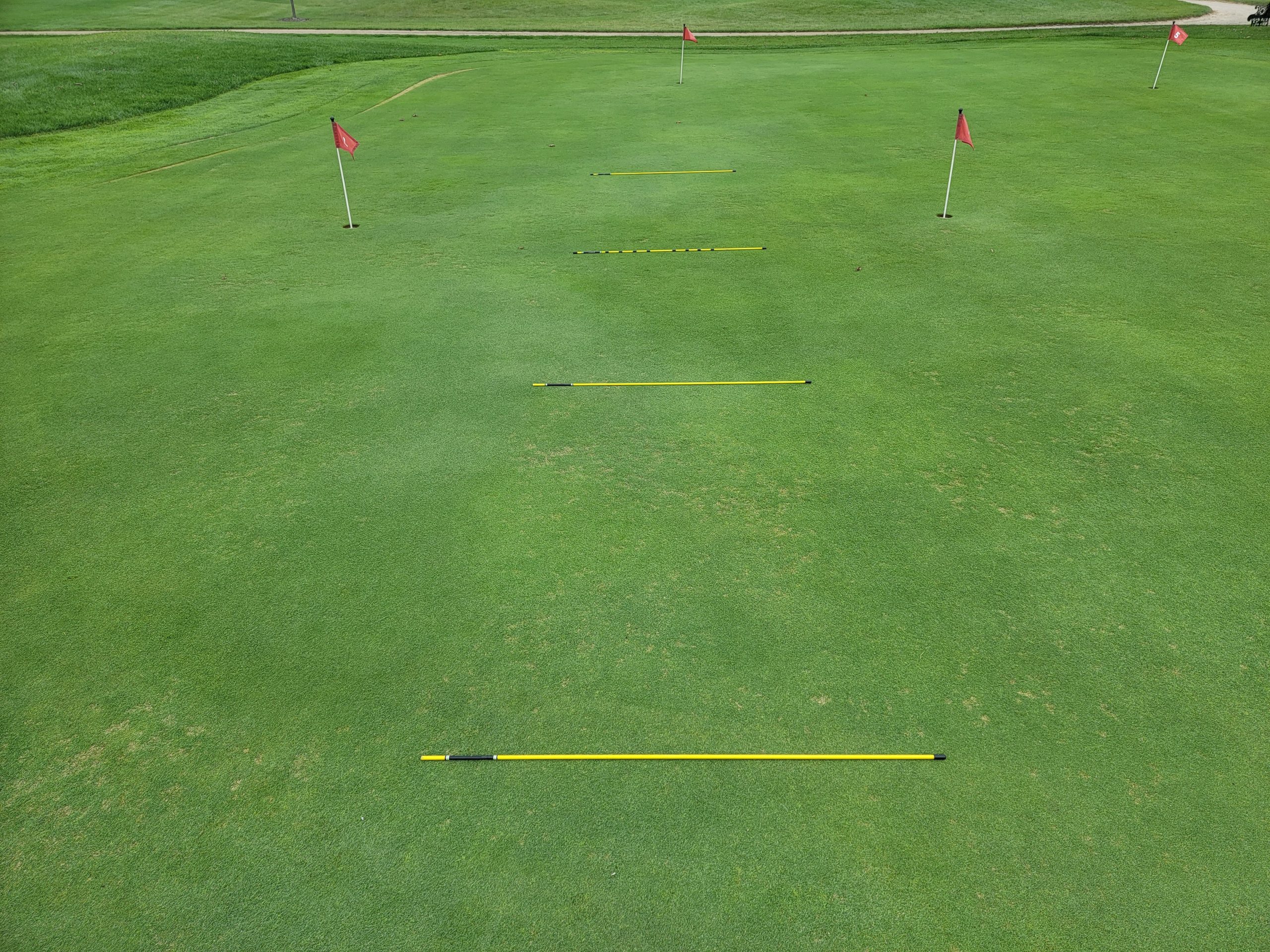 Old Duffer Golf image of alignment rods used as a chipping ladder