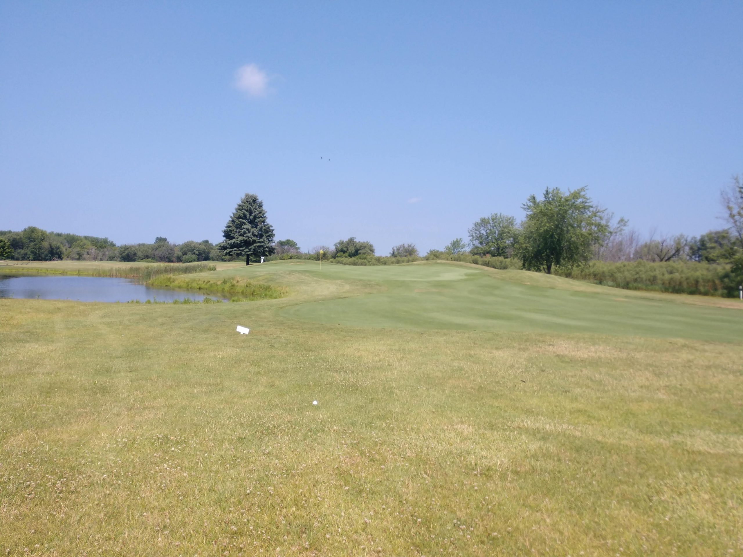 Old Duffer Golf image of an approach shot to the green