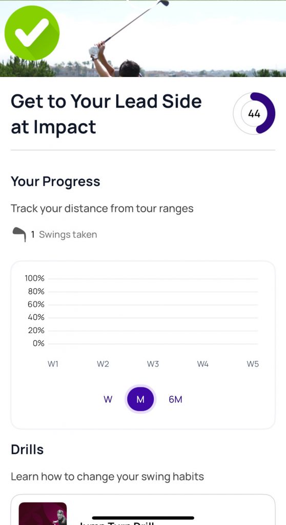 Old Duffer Golf image of the progress page